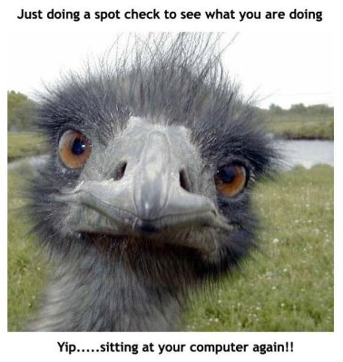 FRED: Like whoa! Where am I? You`re on the SITEMAP page.